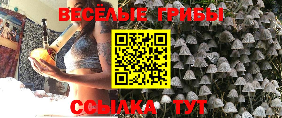 Псилоцибиновые грибы GOLDEN TEACHER  Галлюциногенные грибы прущие грибы  где продают наркотики  Сухой Лог  Вход с VPN 