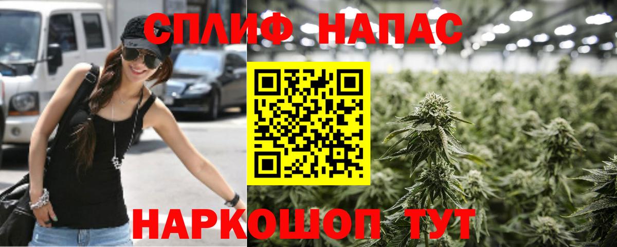 Бошки марихуана конопля Сухой Лог